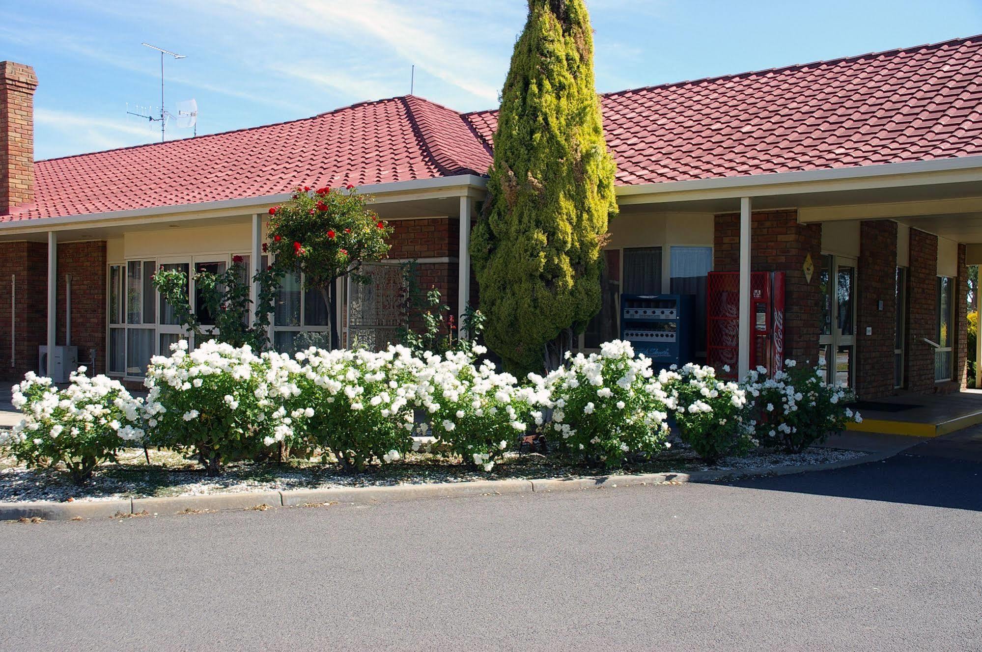 Pines Country Club Motor Inn シェパートン エクステリア 写真